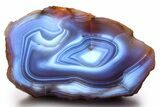 Colorful, Polished Patagonia Agate - Highly Fluorescent! #260759-1